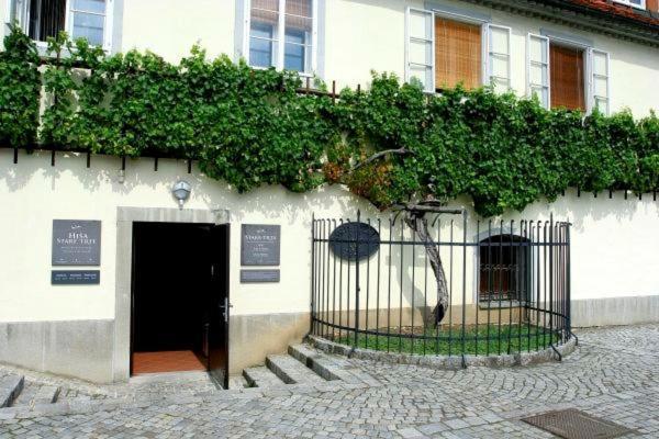 Apartma4Us Marburgo Esterno foto